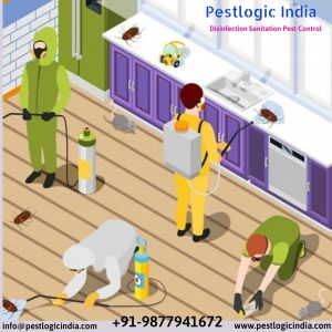 anti termite soil treatment services