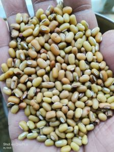 Cowpea Seeds