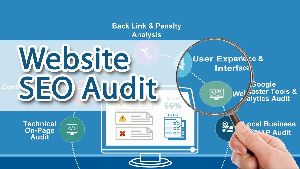 website audit service