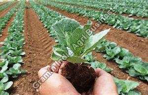 Organic Farming Services