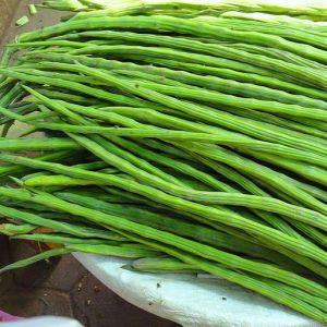 Green Fresh Drumstick Vegetable