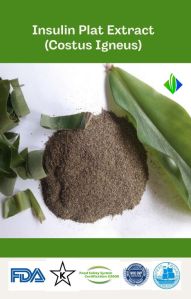 Insulin Plant Extract