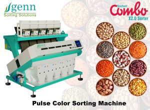 Pulse Color Sorting Machine