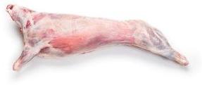 Frozen Mutton Carcass