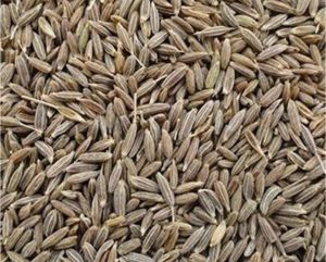 Brown Cumin Seeds