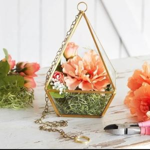 Hanging Glass Terrarium