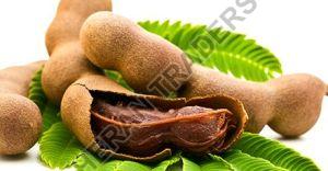 Fresh Tamarind