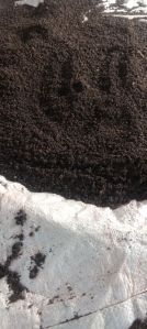 Organic Cow Dung Vermicomposts For Agriculture