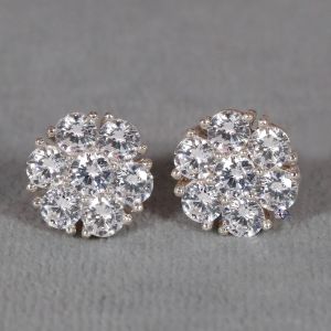 Ladies Moissanite Diamond Earrings