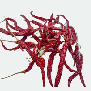 Syngenta 5531 Dry Red Chilli