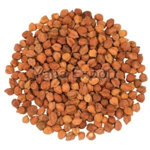 Brown Chickpeas