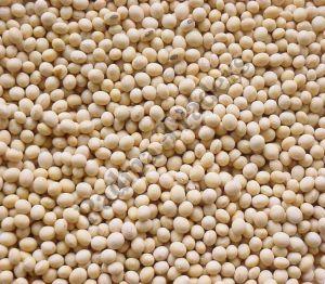 Dry Soybean Seeds