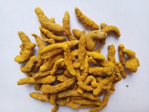 Curcuma Longa Turmeric Finger