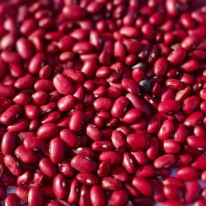 Red Rajma