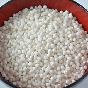 Sabudana Seeds