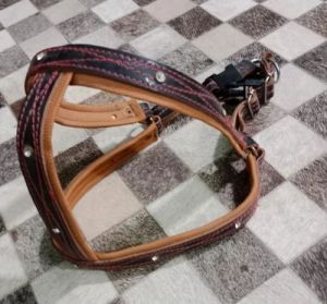 Dog Padded Leather Harness