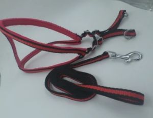 Nylon Dog Harness Leash Set