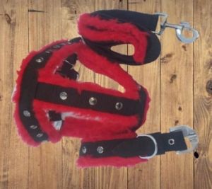 Nylon Red & Black Dog Harness Collar Leash Set