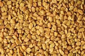 Fenugreek Seeds