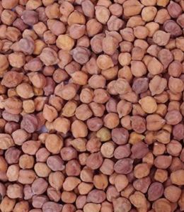Red Chickpeas
