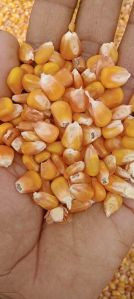 maize sheller