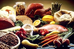 vitamin diet counseling services