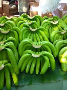 Fresh G9 Green Banana