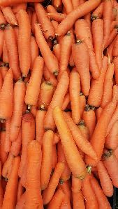 Carrots