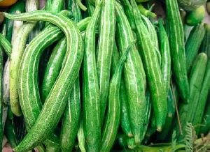 Snake Gourd