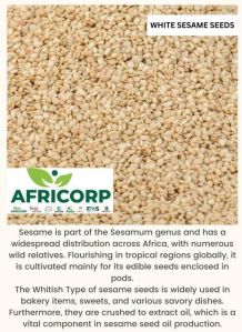 Sesame Seeds