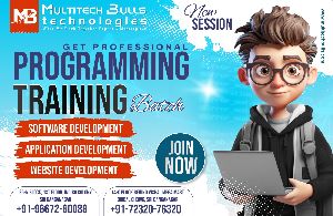 software programming diploma