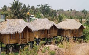 bamboo house