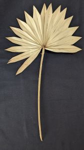 Sun Palm Leaf