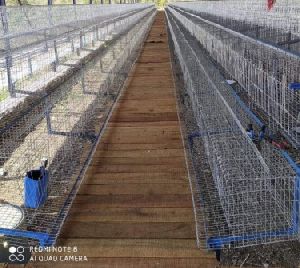 Poultry layer cage