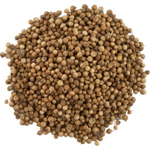 Coriander Seeds - Assam Bulgarian Type