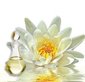 White Lotus Fragrance
