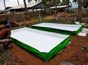 HDPE Azolla Bed