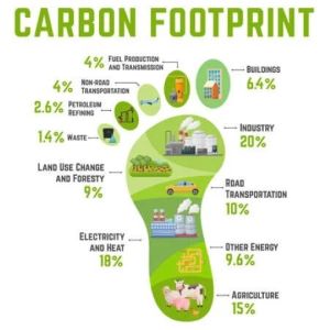 carbon footprinting services