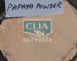 papaya fruit powder