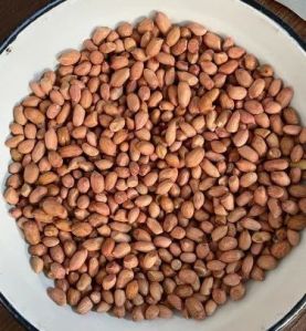 120/140 Java Groundnut Kernels