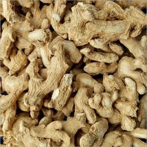 Raw Dried Ginger