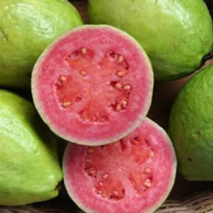 Pink Guava slices