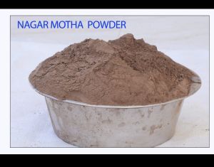 Nagarmotha Powder