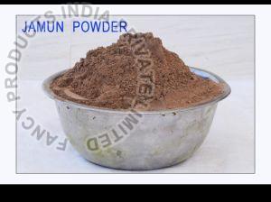 Jamun Seed Powder