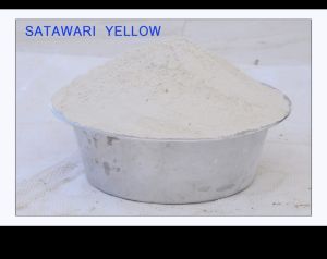 Yellow Shatavari Powder