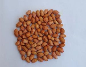 Dry Raw Peanuts For Cold Press Oil
