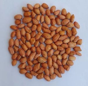 Groundnut Peanut Seeds