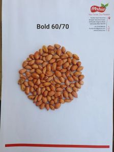 Groundnut Seeds G20