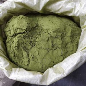 moringa oleifera powder