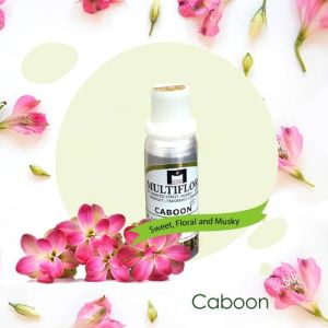 Caboon Fragrance Oil